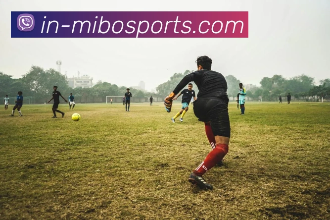 APP界面展示